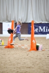 SBM_000261