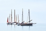 Hazy morning for the Lugger Regatta