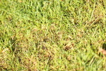 SBM_15803