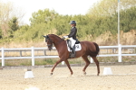 SBM_019320