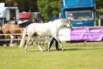 SBM_01663