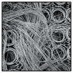 MATTRESS SPRING GRAPHIC - MUSGRAVE HARBOUR