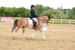 SBM_006413