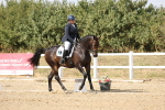SBM_015065