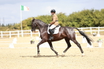 SBM_004221