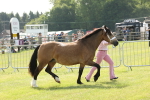 SBM_02072