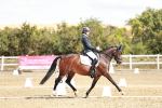 SBM_009375
