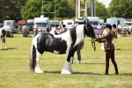 SBM_04240