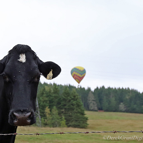 Atlantic International Balloon Fiesta Sussex New Brunswick