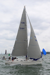190803 WHITE ROSE GBR516R 1Y3A7242
