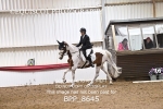 BPP_8645