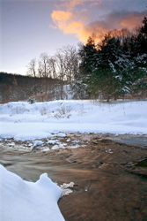 Fall and Winter portfolio