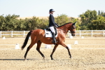 SBM_016993