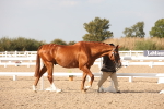 SBM_08126