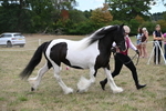 WJ6_5391