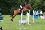 Cls 44 Foxhunter portfolio