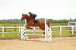 SBM_002005