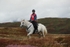SPXX2628