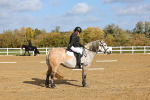 SBM_001032