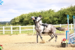 SBM_005768