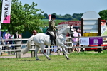 SBM_17491