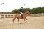 SBM_001667