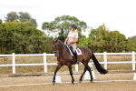 SBM_006368