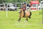 JAC_9361