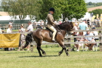 SBM_06822
