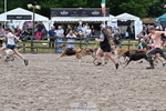 East Devon Hounds portfolio