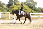 SBM_003634
