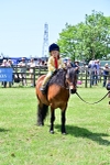 SBM_05988