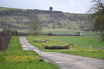 WJ5_4066
