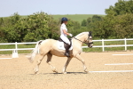SBM_009077
