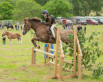 Dunblane show-585