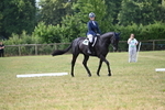 WJ6_5750