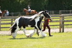 SBM_05500
