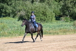 WJ7_7000