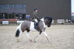 SBM_008003