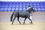 SBM_5422