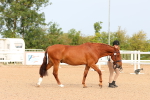 SBM_16588