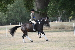 WJ7_7665