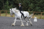 SIAL8715