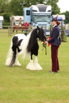 SBM_06347