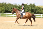 SBM_002035