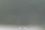 261023A-132228-13425