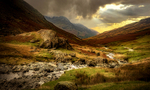 The Pass