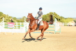 Class 6 - National B&C Handicap Championship Qualifier 1.25m 1.30m portfolio