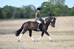 WJ7_7649