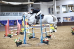 SBM_003246